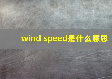 wind speed是什么意思